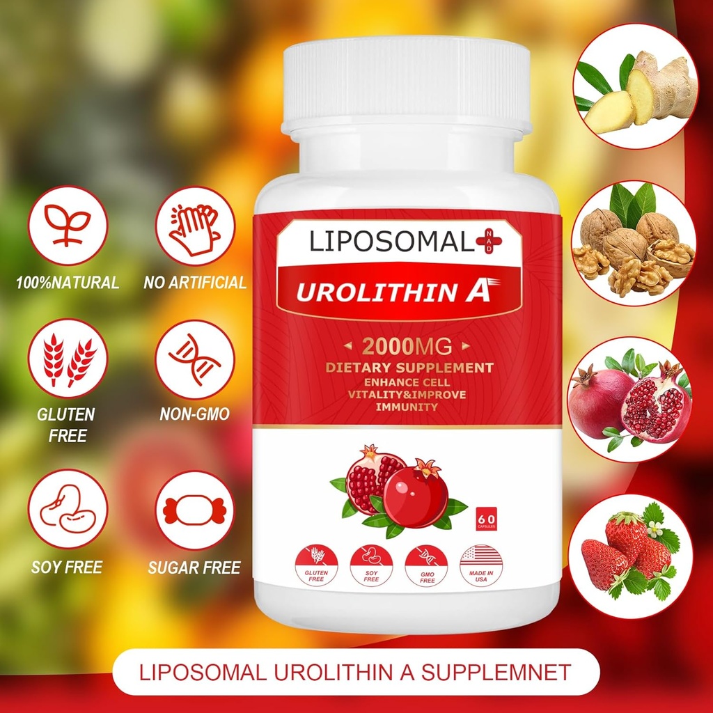 liposomal-urolithin-a-supplement-2000mg--5.jpg