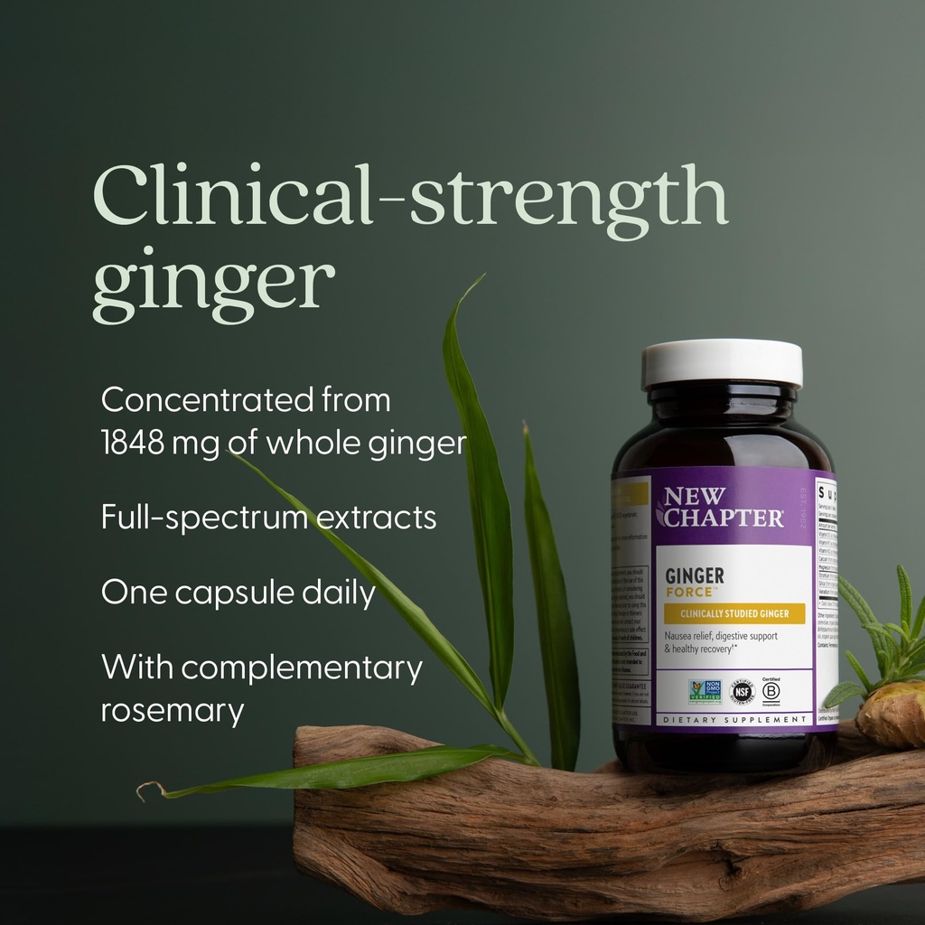 new-chapter-ginger-supplement-force-with-3.jpg