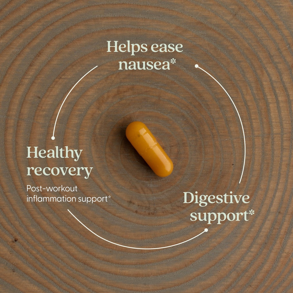 new-chapter-ginger-supplement-force-with-4.jpg