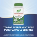 nature-s-way-peppermint-leaf-traditional-4.jpg