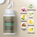 lymphatic-drainage-capsules-lymphatic-su-3.jpg