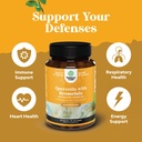 bundle-of-immune-support-quercetin-with--4.jpg