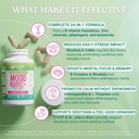 mood-boost-24-in-1-b-complex-zinc-calm-s-4.jpg