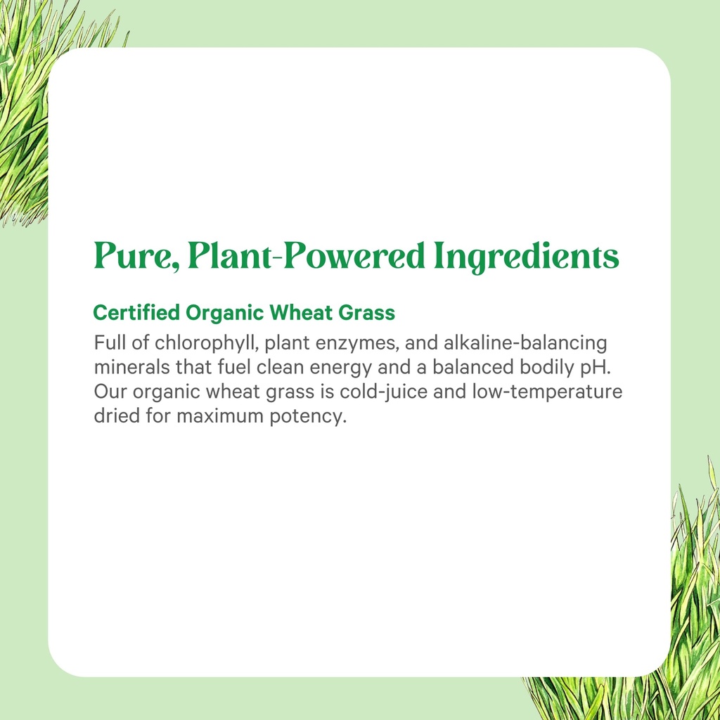 pure-synergy-organic-wheat-grass-juice-p-5.jpg