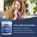 vimergy-barley-grass-juice-powder-250g-w-3.jpg
