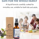 organic-elderberry-mist-sambucus-nigra-l-5.jpg