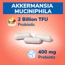 vitalibre-akkermansia-muciniphila-probio-3.jpg