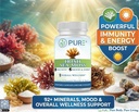 pure-irish-sea-moss-750mg-60-organic-cap-2.jpg