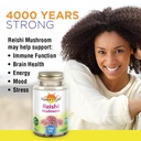 nature-s-life-reishi-mushroom-1200-mg-he-3.jpg