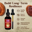 dragon-herbs-duanwood-reishi-drops-mushr-3.jpg