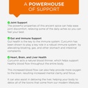 curcuminpro-complete-curcumin-bulk-powde-4.jpg