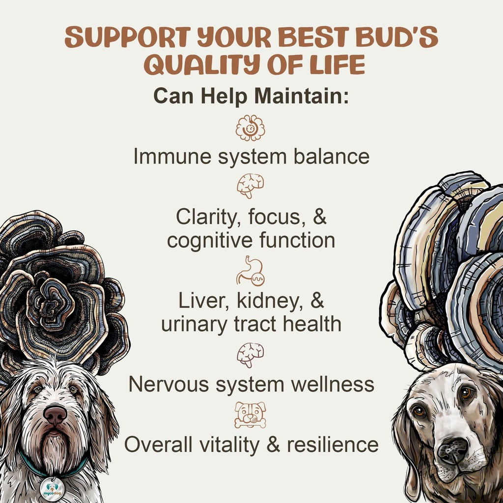 mycodog-turkey-tail-mushroom-for-dogs-im-4.jpg