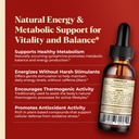 organic-super-shrooms-6-in-1-mushroom-we-3.jpg