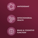 dr-mercola-l-carnosine-with-r-ala-dietar-3.jpg