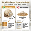lion-s-mane-mushroom-supplement-500-mg-b-4.jpg