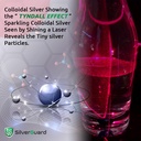 enhanced-colloidal-silver-liquid-immune--5.jpg