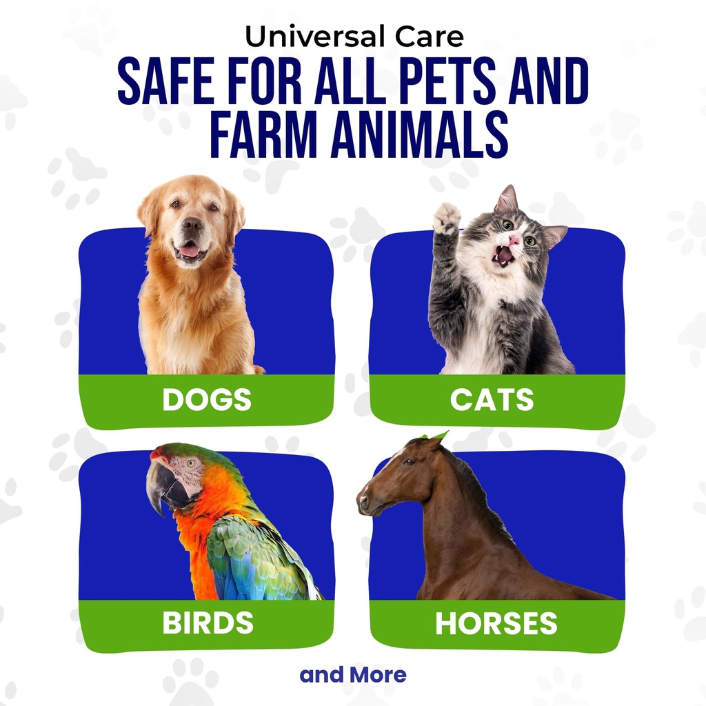 holistic-pet-care-colloidal-silver-for-d-6.jpg