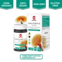 organic-reishi-mushroom-spore-plus-capsu-2.jpg