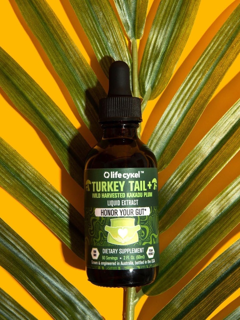 life-cykel-turkey-tail-mushroom-liquid-e-3.jpg