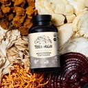 terra-origin-healthy-mushroom-complex-su-4.jpg
