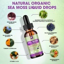 sea-moss-liquid-drops-with-black-seed-oi-2.jpg