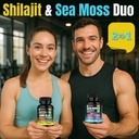 sea-moss-shilajit-black-seed-oil-ashwaga-2.jpg