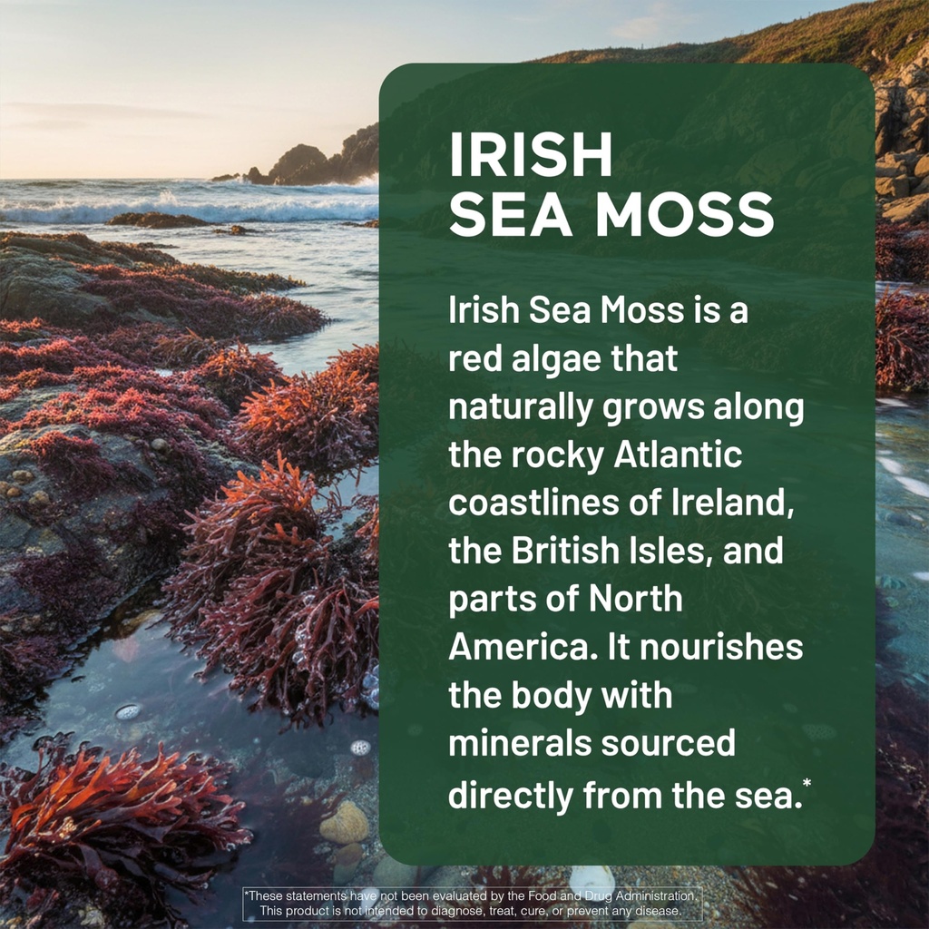smarternutrition-sea-moss-multimineral-w-4.jpg