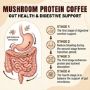 protein-coffee-powder-cold-brew-mocha-ic-4.jpg