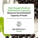 paradise-herbs-organic-maqui-berry-extra-3.jpg