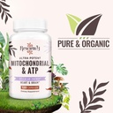 resciency-2326-mg-mitochondrial-suppleme-5.jpg