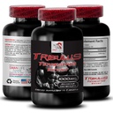 physical-endurance-tribulus-terrestris-e-2.jpg