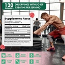 nsf-certified-creatine-gummy-5g-creatine-3.jpg