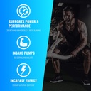 ec-sports-optiforce-pre-workout-candy-wa-5.jpg