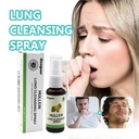 mullein-lung-cleansing-spray-mullein-lea-2.jpg