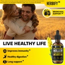 herbify-bundle-mullein-leaf-extract-vita-3.jpg