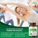 zazzee-complete-respiratory-lung-health--4.jpg