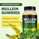 mullein-gummies-for-lung-detox-2000mg-mu-2.jpg