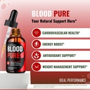 blood-pure-drops-blood-pure-blood-formul-4.jpg