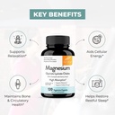 sandhu-s-magnesium-glycinate-lysinate-12-6.jpg