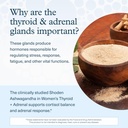 youtheory-women-s-thyroid-adrenal-capsul-4.jpg