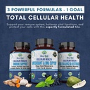 stay-well-naturals-soursop-capsules-with-2.jpg