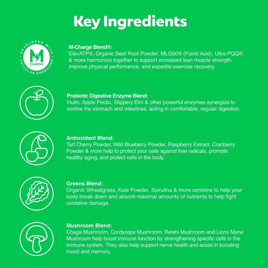 l-evate-you-vitality-daily-greens-powder-3.jpg