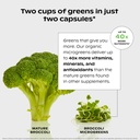 wholier-supergreens-multi-capsules-organ-5.jpg