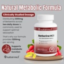 berberine-hcl-1200mg-supplement-supports-2.jpg