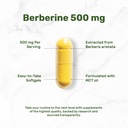 deal-supplement-berberine-500-mg-per-ser-3.jpg