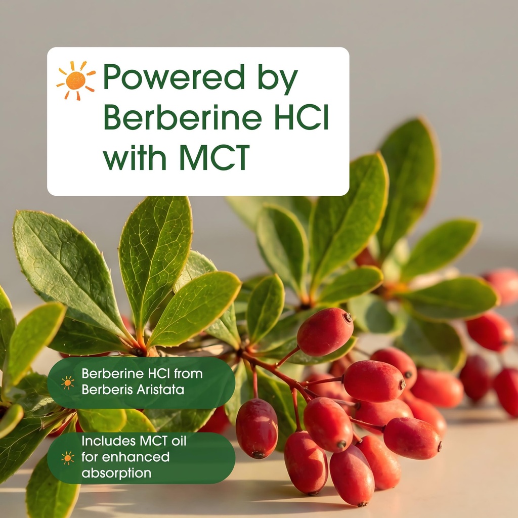 naturebell-berberine-1-000mg-120-softgel-6.jpg