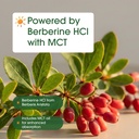 naturebell-berberine-1-000mg-120-softgel-6.jpg