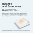 brainmd-dr-amen-neurolink-powder-114g-su-3.jpg