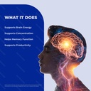 brainergy-capsules-official-memory-brain-4.jpg