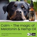 buster-s-cold-pressed-hemp-seed-oil-for--5.jpg